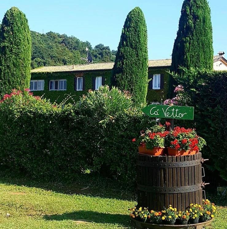 Ca Vettor Bed & Breakfast Affi Exterior photo